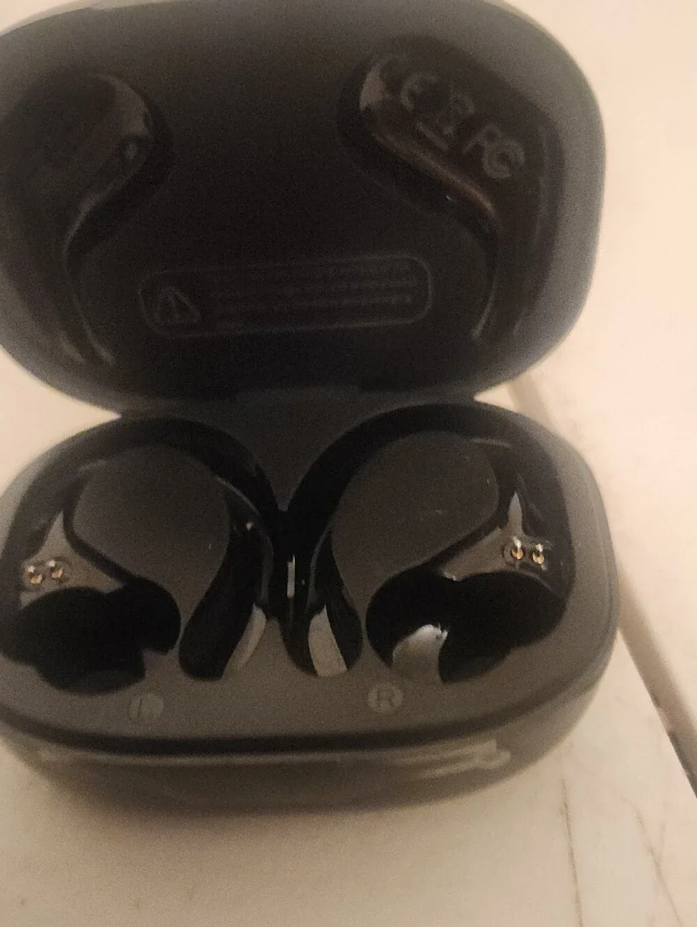 True Wireless Earbuds with Charging Case - Black